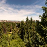 Zdiar : Treetop Walk Bachledka Private Tour from Krakow — gallery 3