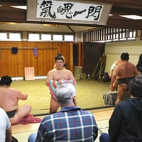 Premium Professional Sumo Morning Practice Experience in Asakusa