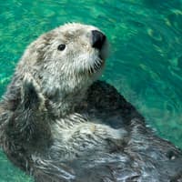Steinbeck's Cannery Row Monterey: Self-Guided Audio Tour