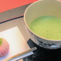Kyoto: Kimono Rental & Tea Ceremony Experience in a Machiya House near Kyoto Imperial Palace — gallery 2