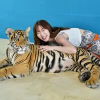 Tiger Park Tickets with Tiger Play Packages — gallery 3