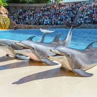 Loro Parque Entry Tickets — gallery 3
