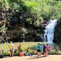 Waimea Valley: Guided Waterfall Hike & Swim Tour from Waikiki — gallery 3