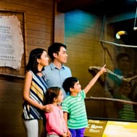 Noah's Ark Hong Kong Tickets — gallery 3