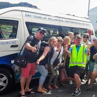 Tur ghidat de jumătate de zi în grup mic către principalele atracții din Wellington, Hotel Pickup, Wellington