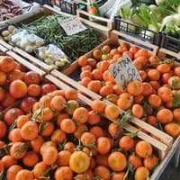 Small Group Shopping at the Florence Central Market with Cooking Class & Lunch — gallery 1