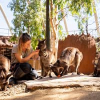 Sydney Multi-Attraction Pass — gallery 1
