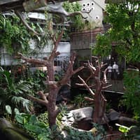 Green Planet Dubai Tickets — gallery 2