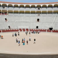 Las Ventas Bullring & Museum: Entry + Private Guided Visit Ticket — gallery 1