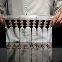 Paris: Guided Chocolate Tasting Tour — gallery 3