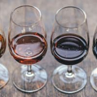 Madrid: Guided Wine, Tapas, and Olive Oil Tasting Experience — gallery 1