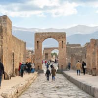 Pompeii Entry Tickets