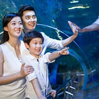 SEA LIFE COEX, Seoul Aquarium Tickets — gallery 1