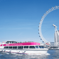 London Eye: River Cruise — gallery 4