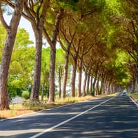 Private Transfers from/to Ciampino Airport — gallery 2