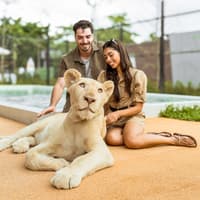 Lion Land Phuket Tickets — gallery 4