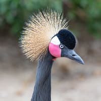 World of Birds Wildlife Sanctuary & Monkey Park: Entry Ticket — gallery 2