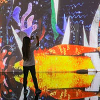 Nomad Immersive Museum: Entry Ticket — gallery 1