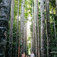 Paronella Park: Entry Ticket