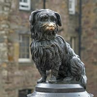 Edinburgh: Audio Guide App by TouringBee