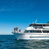 Wilsons Prom Whale Adventure Cruise with Lunch