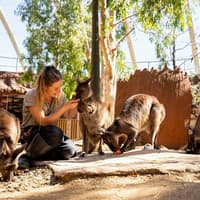 [Save upto 55%] Sydney 4 Attractions Pass