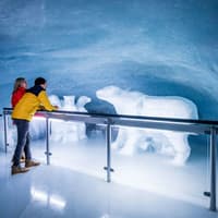 Jungfraujoch: Roundtrip Train from Grindelwald