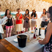 Small Group Wine Tour in Arrábida from Lisbon