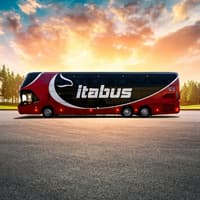 Fiumicino Airport: Itabus Bus Transfer to Naples