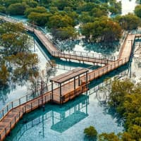 Jubail Mangrove Park: Boardwalk Experience Tour
