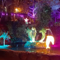 El Bosque Encantado: Entry Ticket