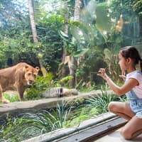 Bali Zoo Combo: Entry Ticket, Breakfast with Orangutans & Elephant Mud Fun — gallery 4