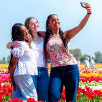 Tulip Experience Tickets with Tulip Fields Visit and Optional Transfers from Amsterdam — gallery 1