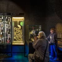 ARTIS Amsterdam Royal Zoo & Micropia: Skip The Line Entry Ticket — gallery 4