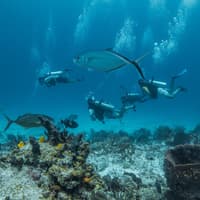 Hurghada : Plongée sous-marine guidée + Transferts + Déjeuner, Hourghada