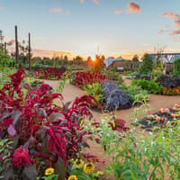 RHS Garden Wisley: Entry Ticket