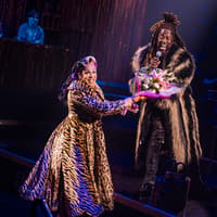 CATS: El Baile Jellicle tickets at Broadhurst Theatre, New York, photo 1
