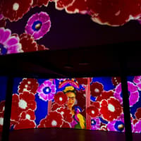 Frida Kahlo Exhibition Amsterdam: VR Experience — gallery 3
