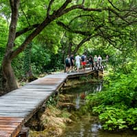Krka National Park Full-Day Trip with Wine & Olive Oil Tasting — gallery 5