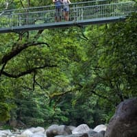 MOSSMAN GORGE DAINTREE EXPERIENCE