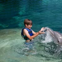 Delphinus Xcaret: Entry Ticket + Transfers + Swim with Dolphins