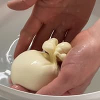 Cheesemaking Workshop with Tastings — gallery 3