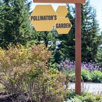 Grouse Mountain: Summer Admission Ticket — gallery 4