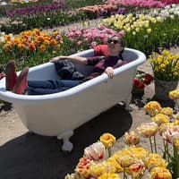 Amsterdam: Small Group Tulip Fields Bike Tour — gallery 4