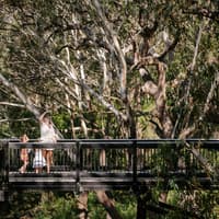 Port Stephens Koala Sanctuary, Port Stephens Koala Sanctuary, Sydney