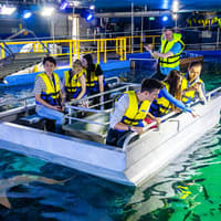 [Save upto 55%] Sydney 4 Attractions Pass