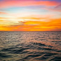 Clearwater: Sunset Cruise with Champagne