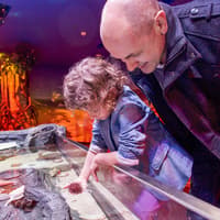 SEA LIFE Melbourne Aquarium Tickets — gallery 3