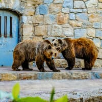 Jardim Zoológico Tickets