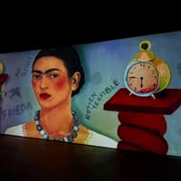 Frida Kahlo Exhibition Amsterdam: VR Experience — gallery 5